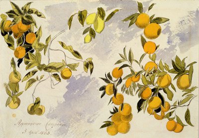 Orangenbäume, 1863 von Edward Lear